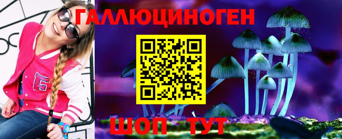 Псилоцибиновые грибы Cubensis Барнаул